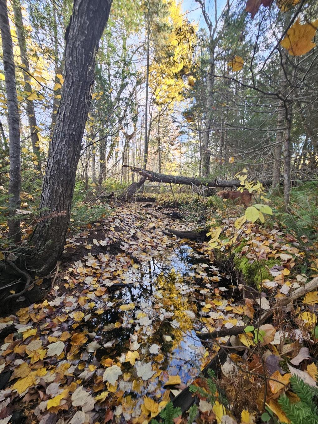 Acreage Doyle Road, Glengarry, PE