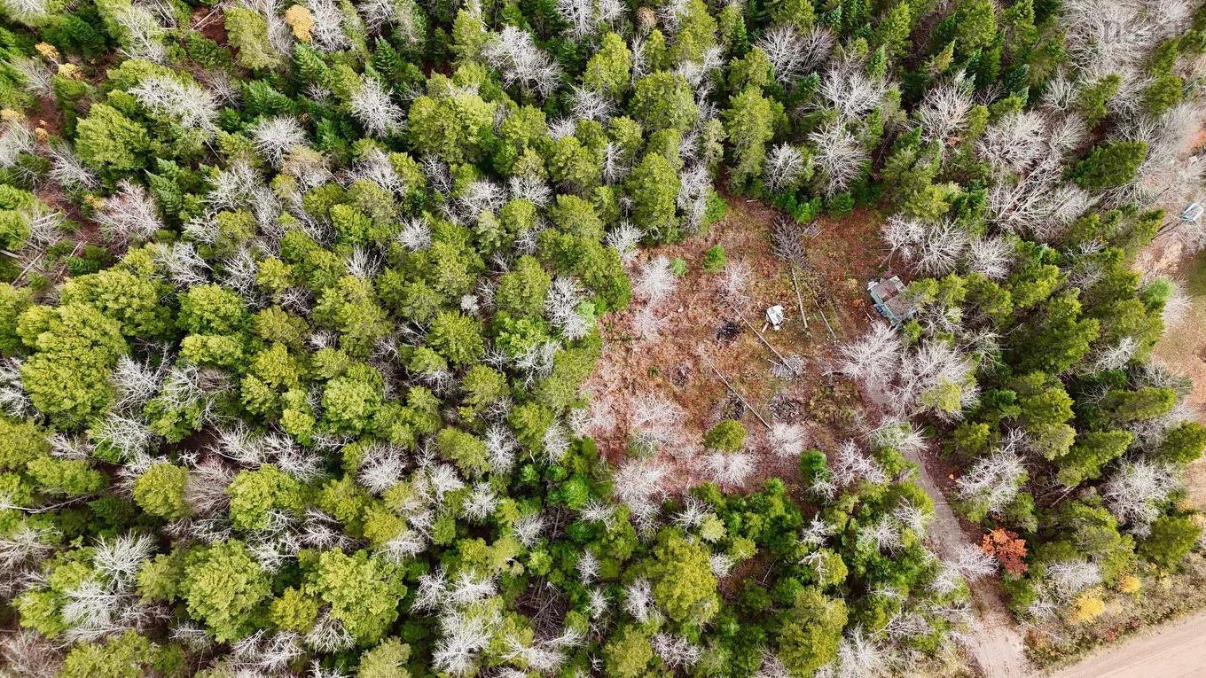 2320 Riverside Road, Green Creek, NS