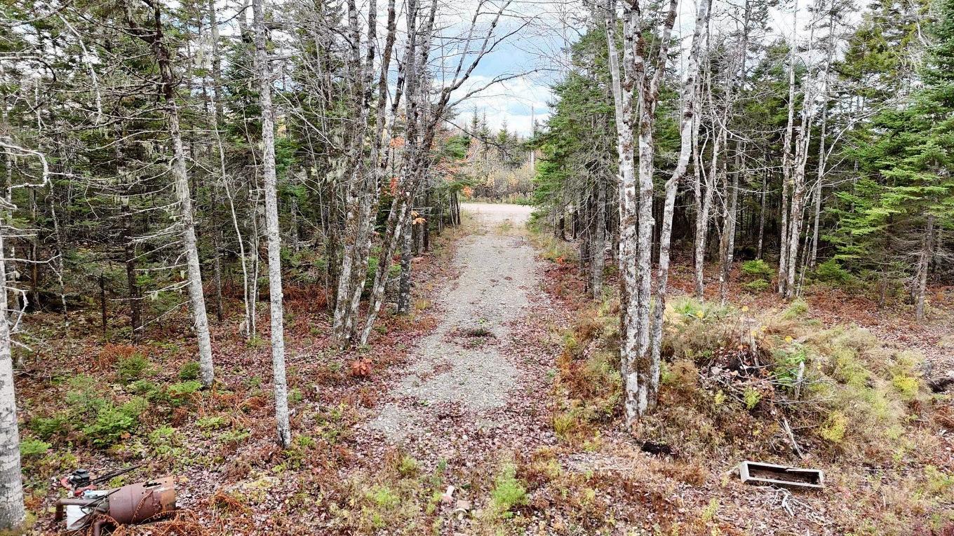 2320 Riverside Road, Green Creek, NS