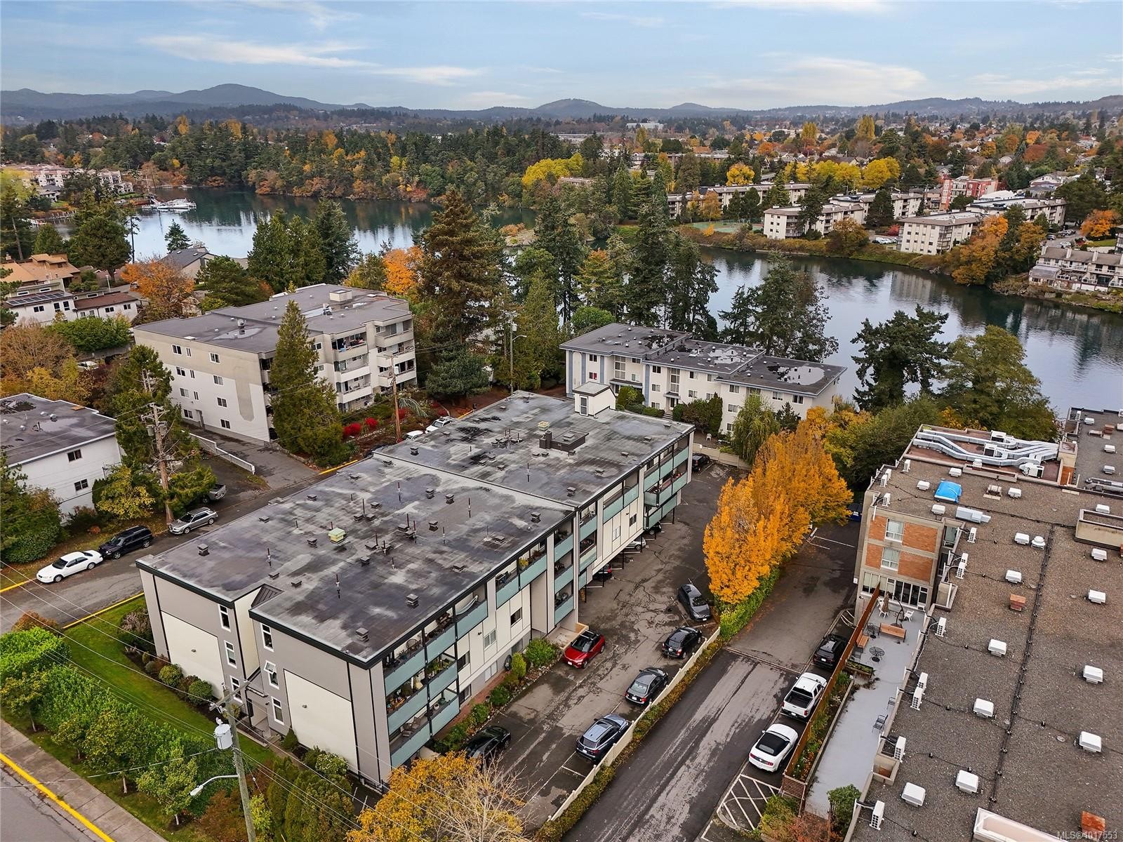 208-955 Dingley Dell, Esquimalt, BC - Outdoor With View