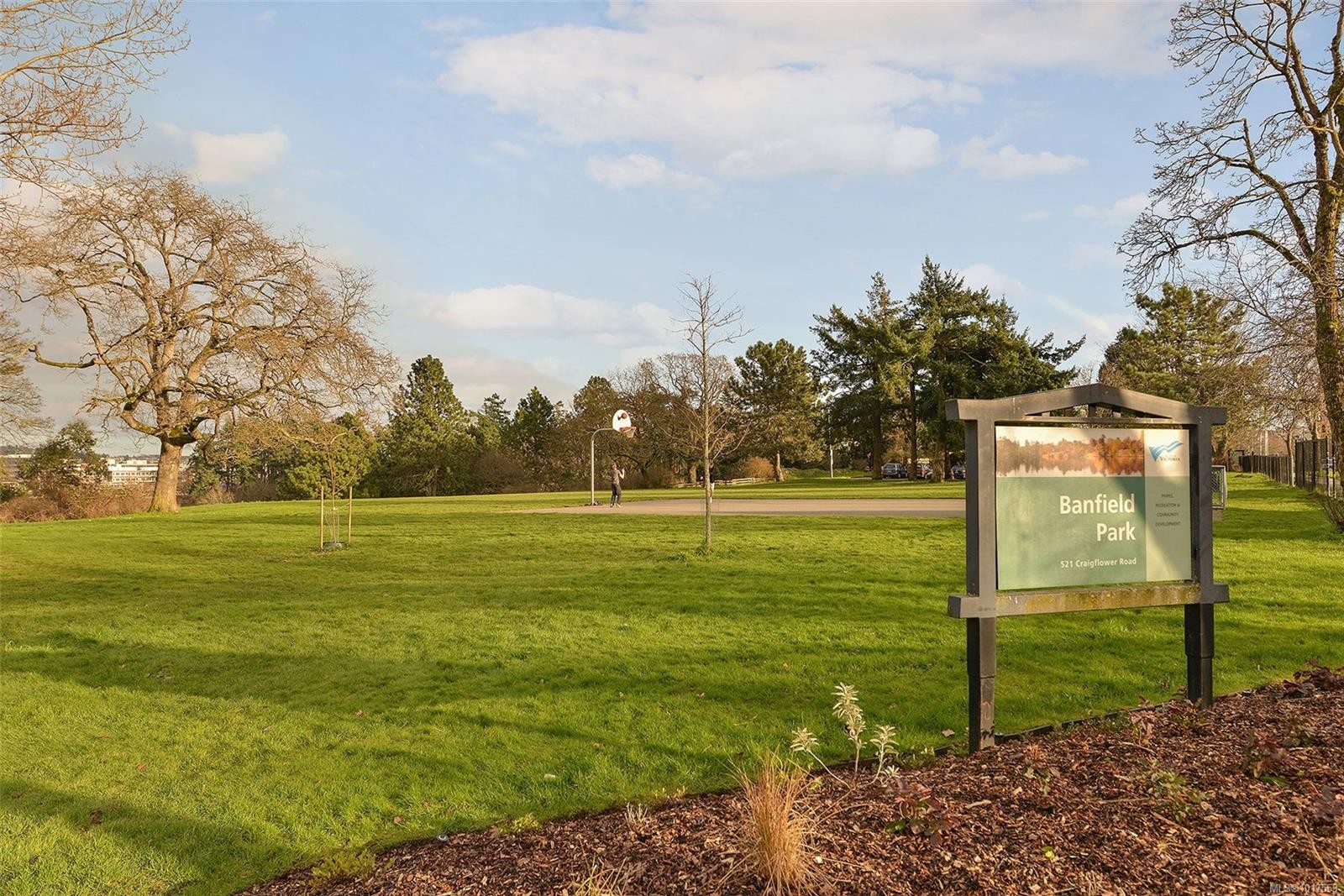 208-955 Dingley Dell, Esquimalt, BC - Outdoor With View