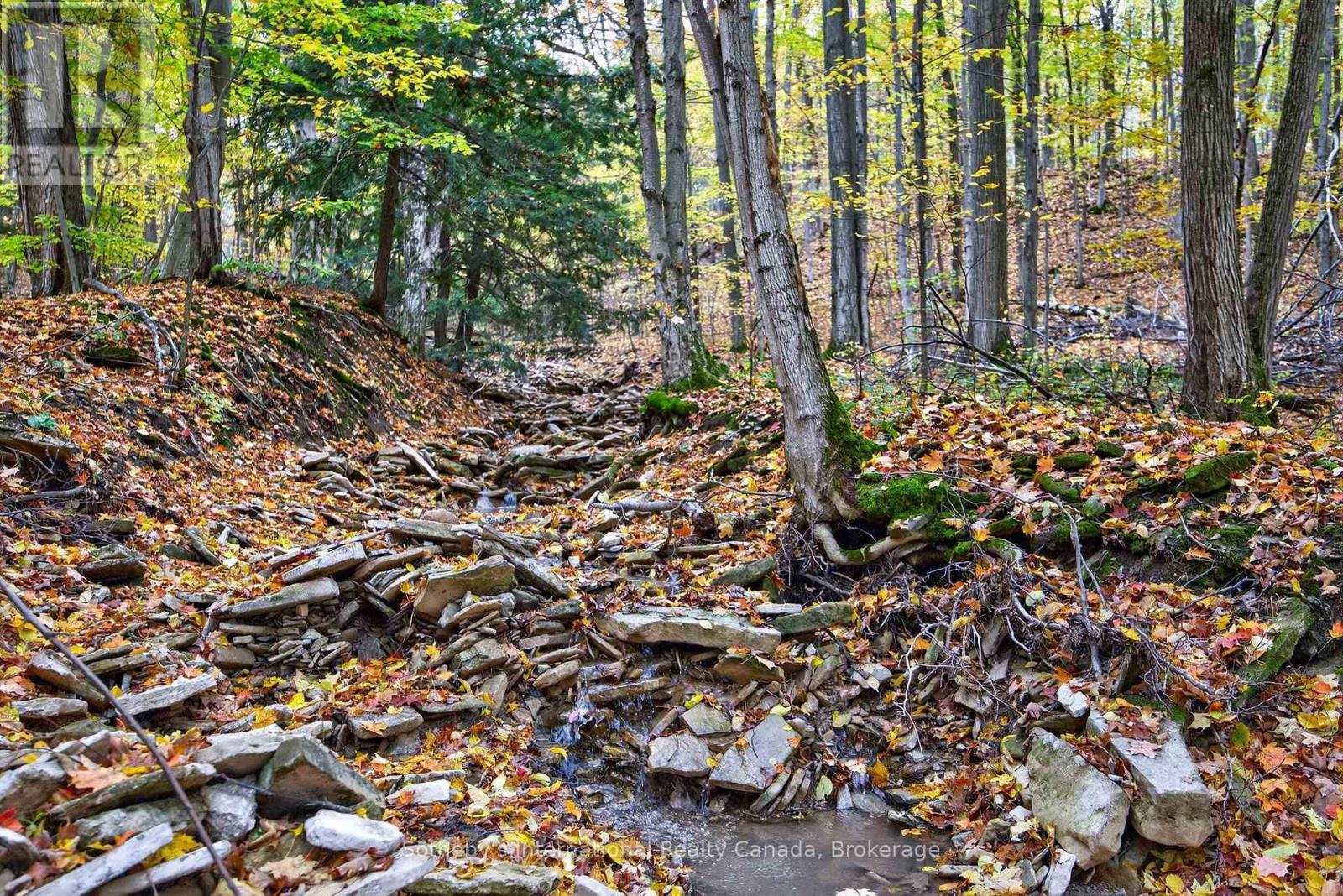 Soothing Creek - 112 Arrowhead Crescent, Blue Mountains, ON - Outdoor