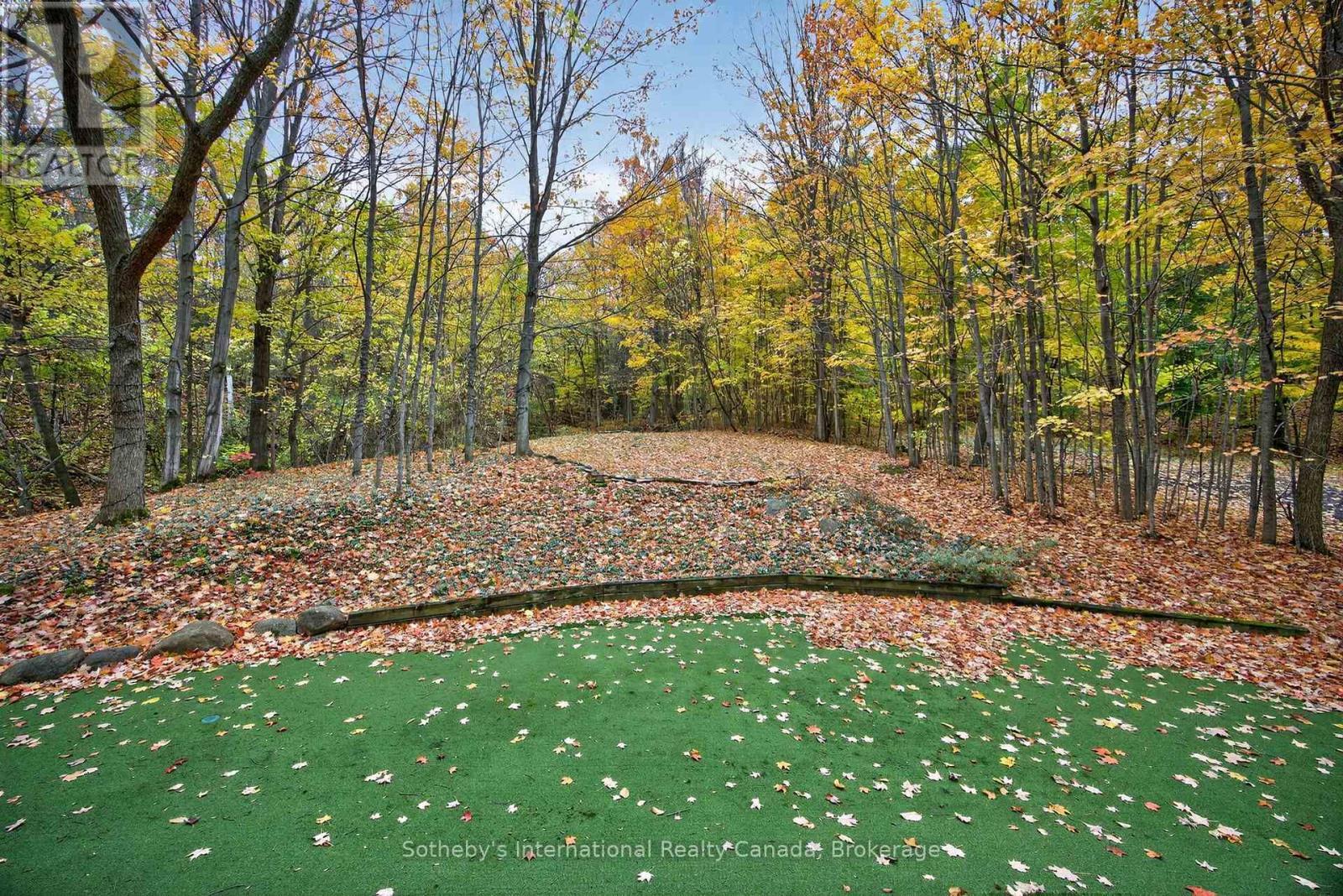 Putting Green - 112 Arrowhead Crescent, Blue Mountains, ON - Outdoor