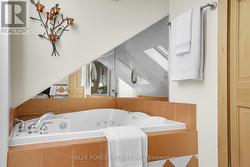 Skylight above the tub -