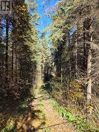 627383 15 SIDE ROAD Mulmur, ON L0N 1M0