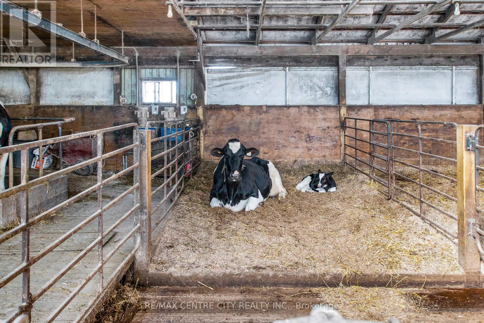 1048 Fifth Line, Selwyn, ON