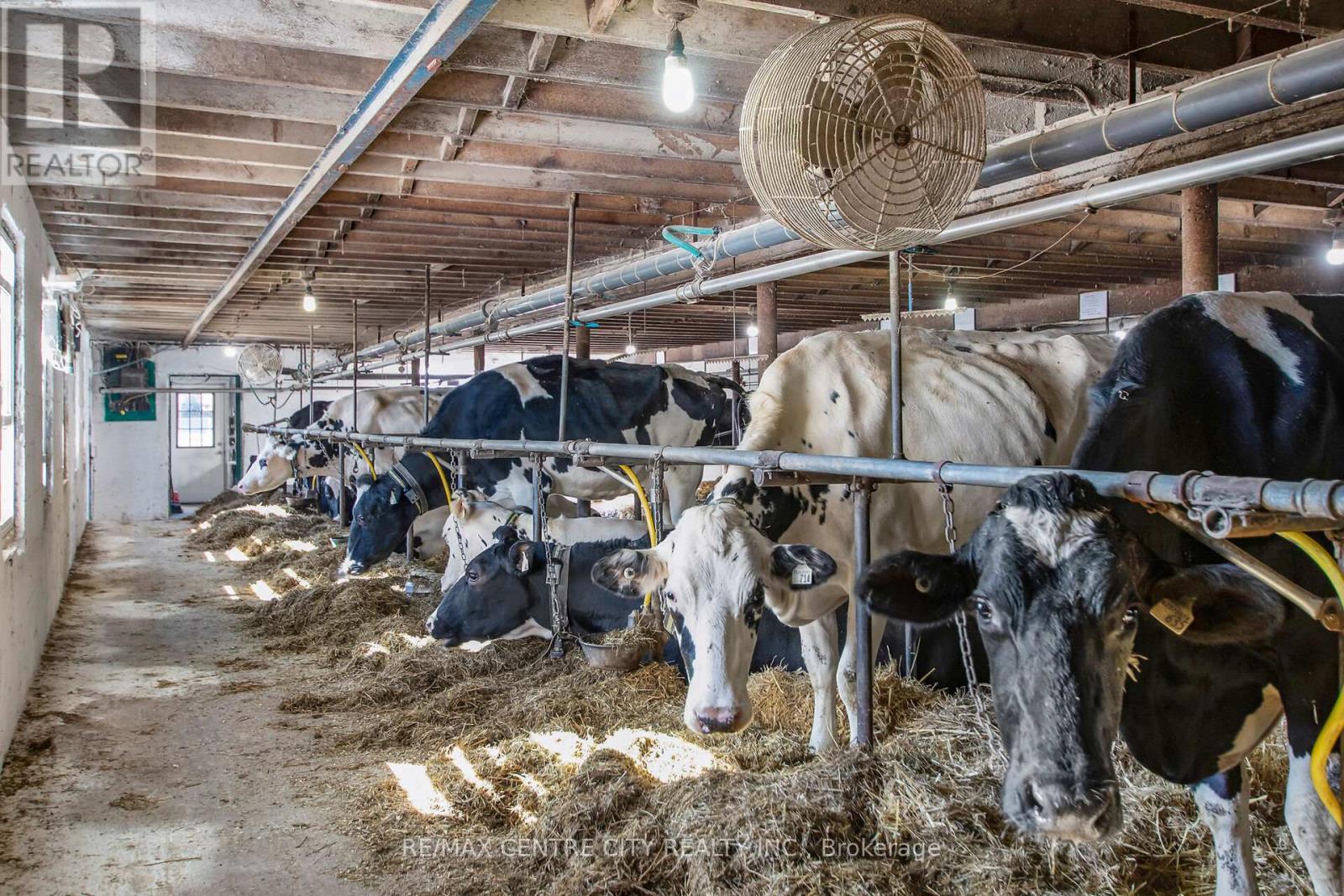 1048 Fifth Line, Selwyn, ON