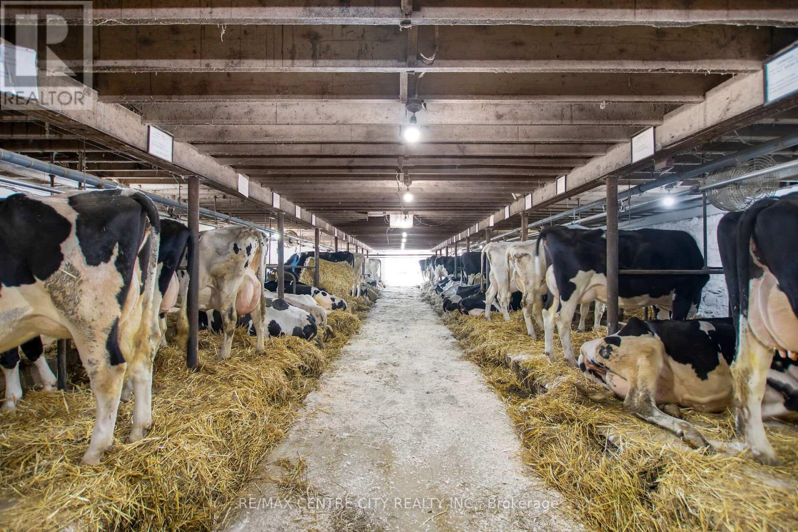 1048 Fifth Line, Selwyn, ON