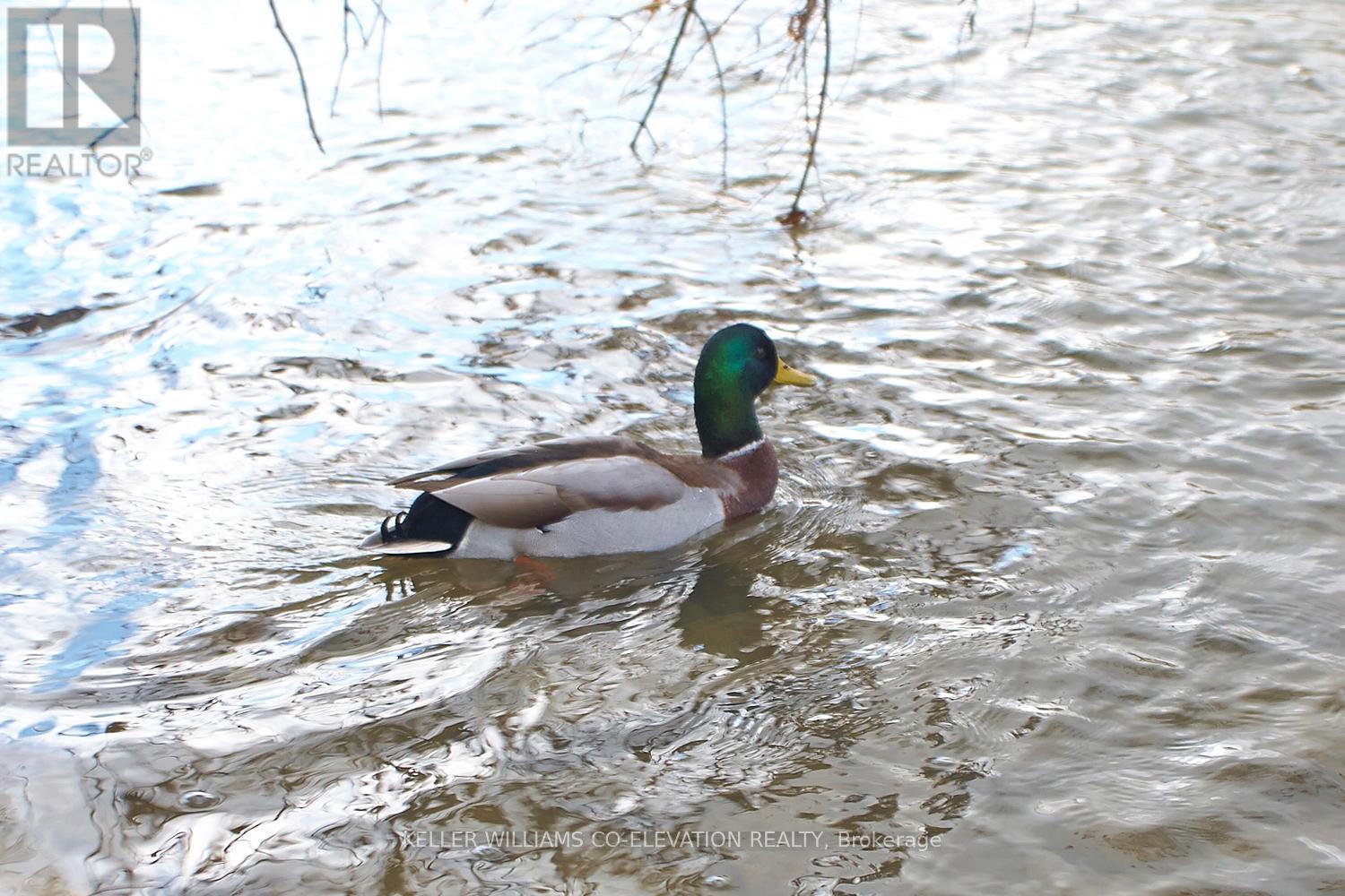 A Sanctuary For Wildlife - 1306 - 260 Scarlett Road, Toronto, ON - Outdoor With Body Of Water With View
