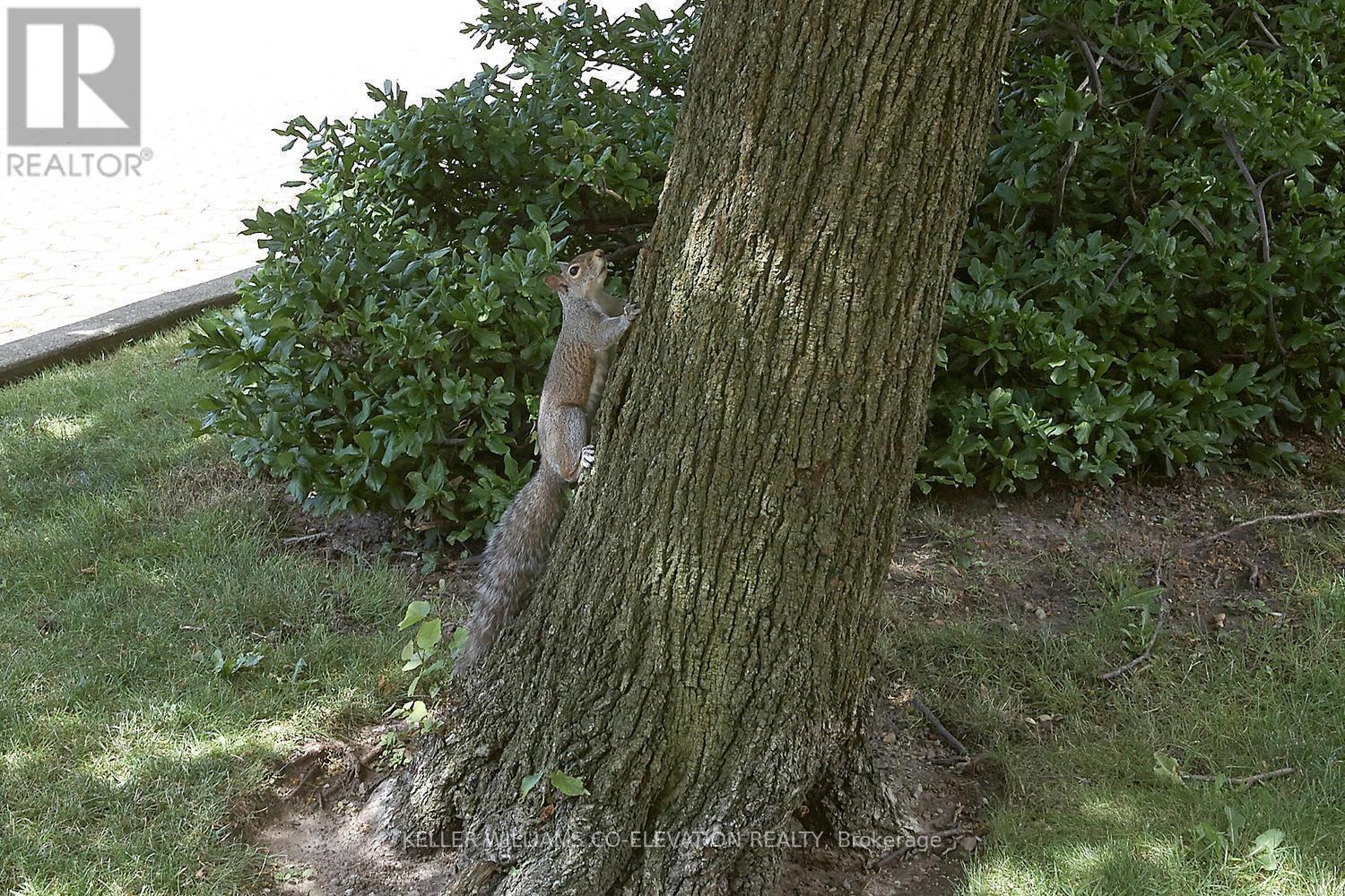 Nature At It's Finest - 1306 - 260 Scarlett Road, Toronto, ON - Outdoor