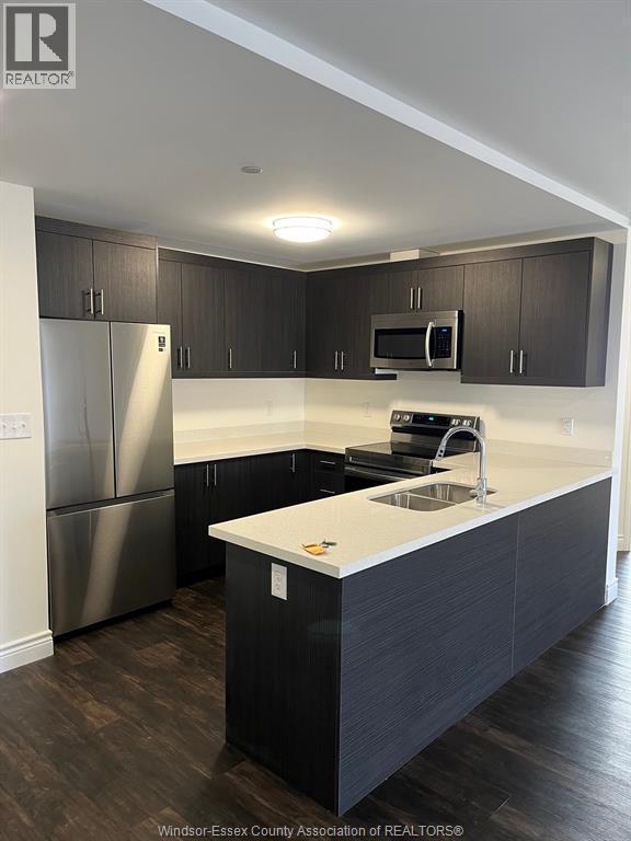 1489 Banwell Road Unit# 427, Windsor, ON - Indoor Photo Showing Kitchen With Double Sink