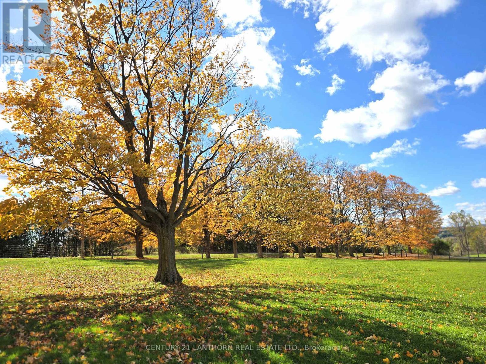 488297 30Th Side Road, Mono, ON