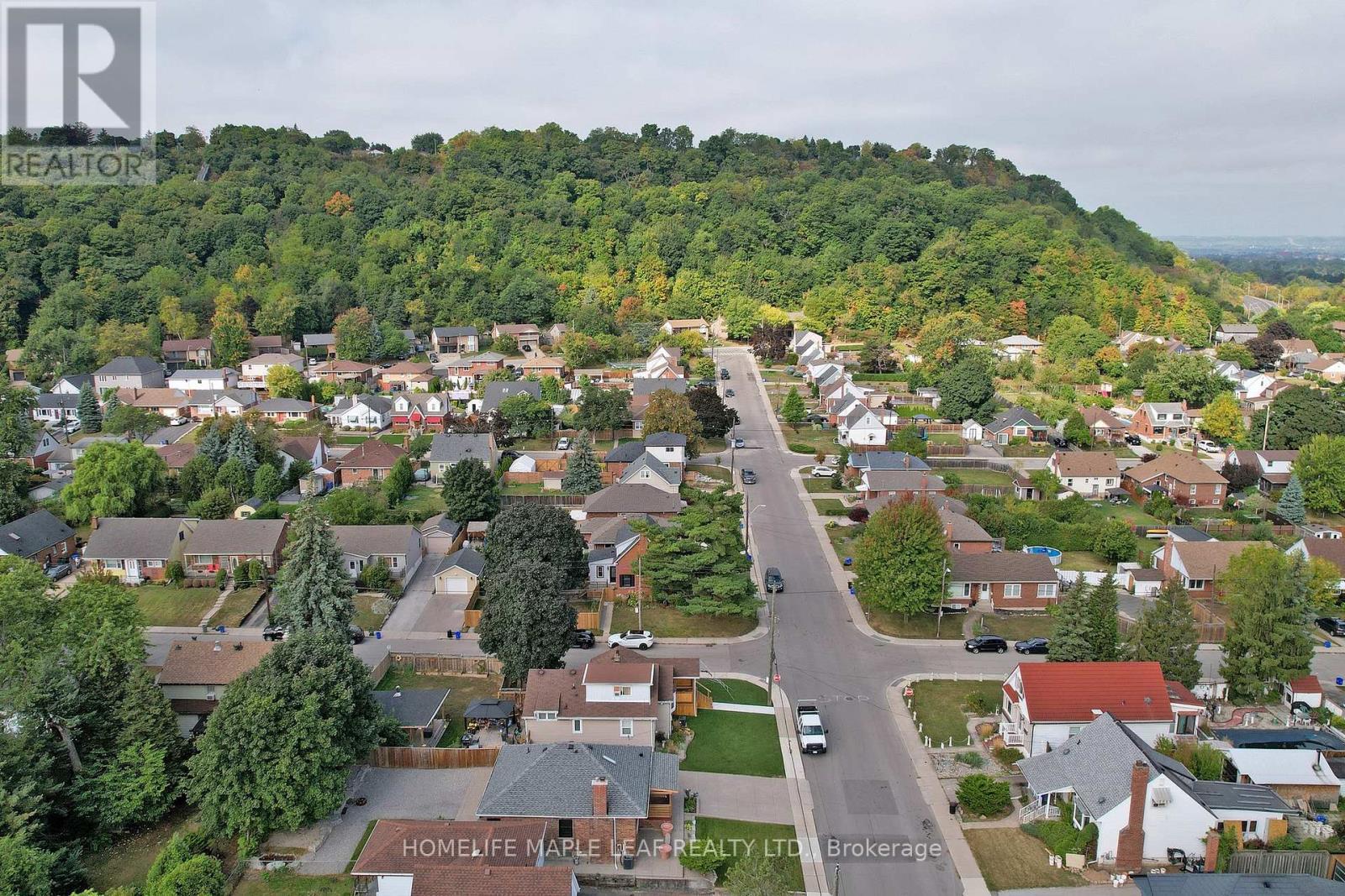 62 Montrose Avenue, Hamilton, ON - Outdoor With View