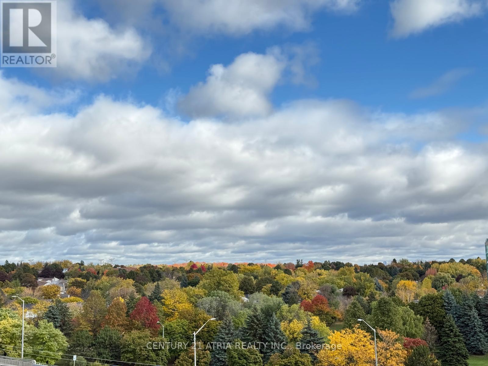 715 - 399 Royal Orchard Boulevard, Markham, ON - Outdoor With View