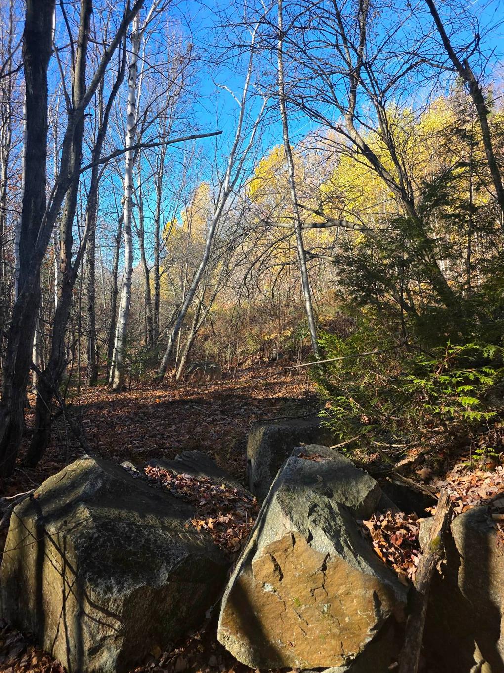 Terre/Terrain - Rue Duquette, Saint-Calixte, QC