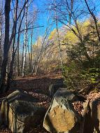 Rue Duquette Saint-Calixte, QC J0K 1Z0