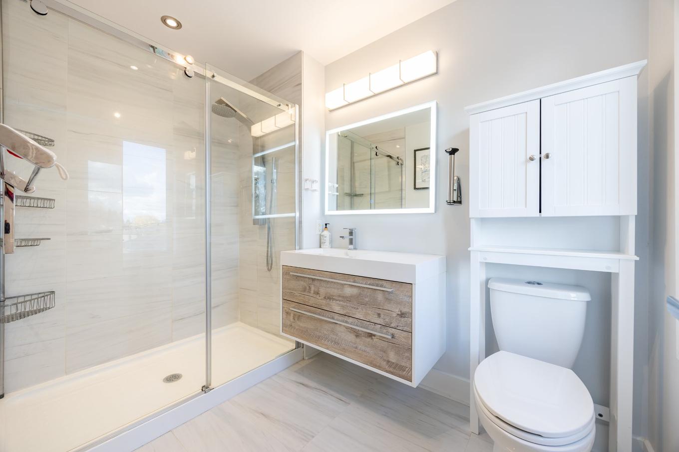 Ensuite bathroom - 5808 Rue Alphonse, Brossard, QC - Indoor Photo Showing Bathroom