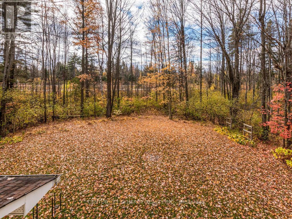 Gorgeous view of back yard. - 1423 Diamondview Road, Ottawa, ON - Outdoor With View