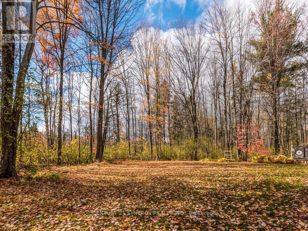 View of back yard. - 1423 Diamondview Road, Ottawa, ON - Outdoor With View