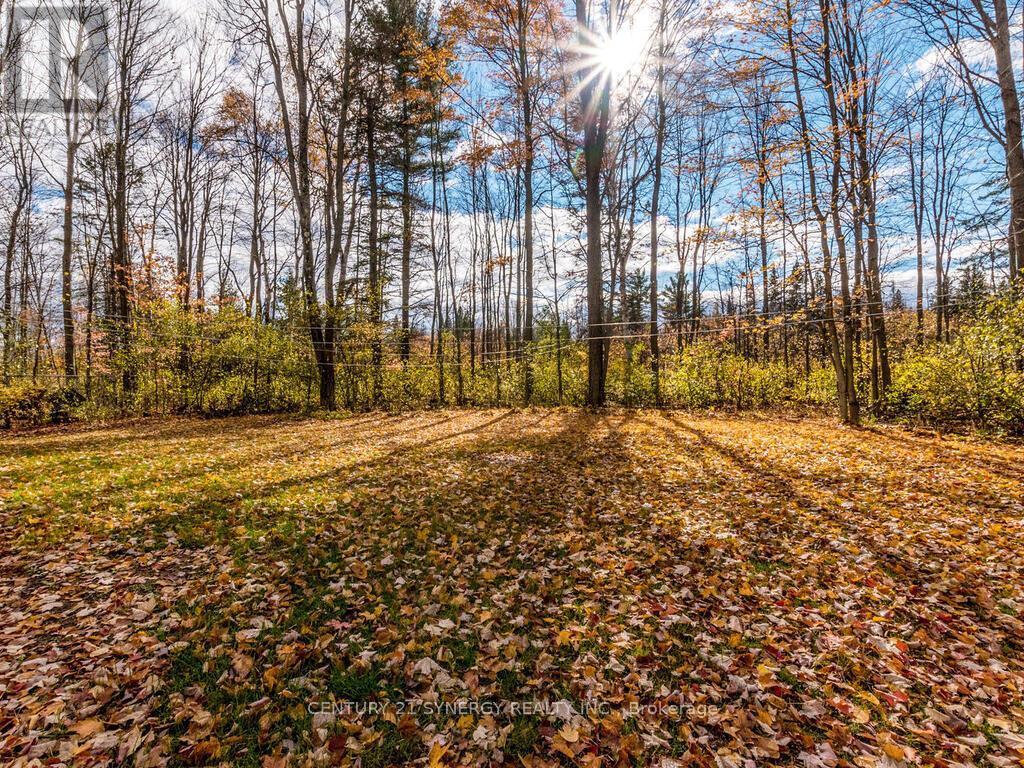 View of back yard. - 1423 Diamondview Road, Ottawa, ON - Outdoor With View