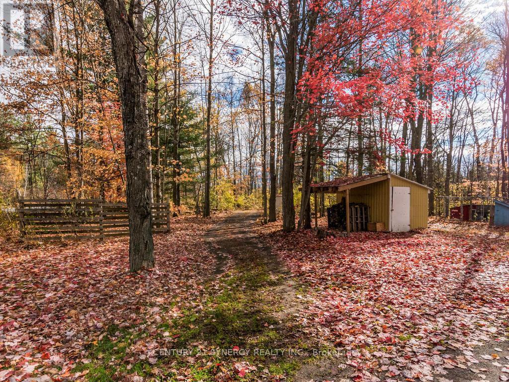 Side yard shed and laneway to second entrance. - 1423 Diamondview Road, Ottawa, ON - Outdoor