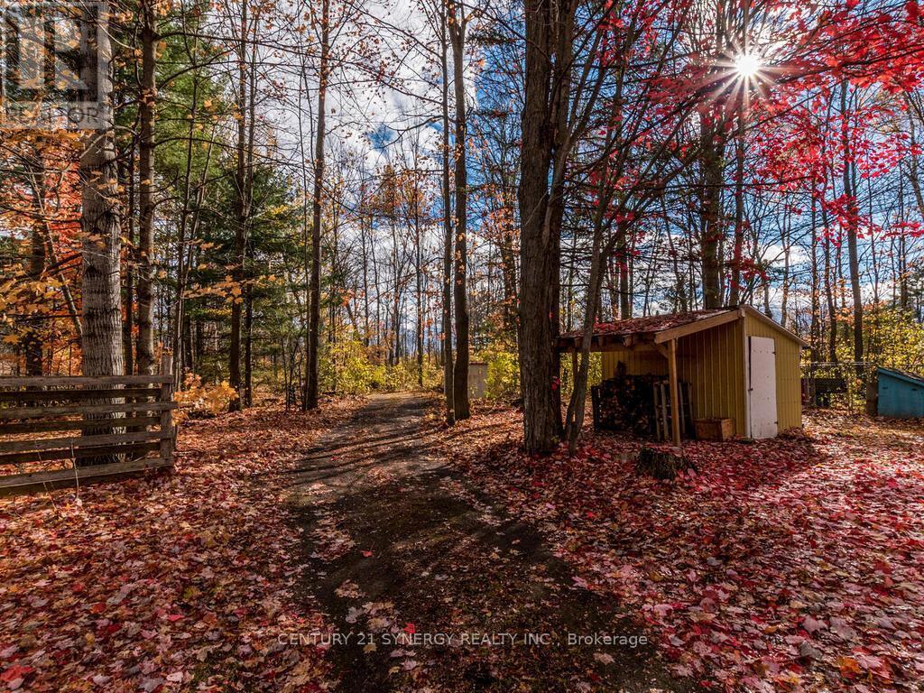 Side yard laneway to second entrance. - 1423 Diamondview Road, Ottawa, ON - Outdoor