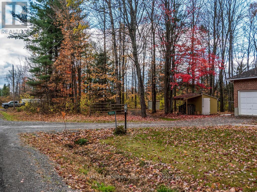 View of both laneways. - 1423 Diamondview Road, Ottawa, ON - Outdoor