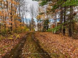 View of home from second laneway -