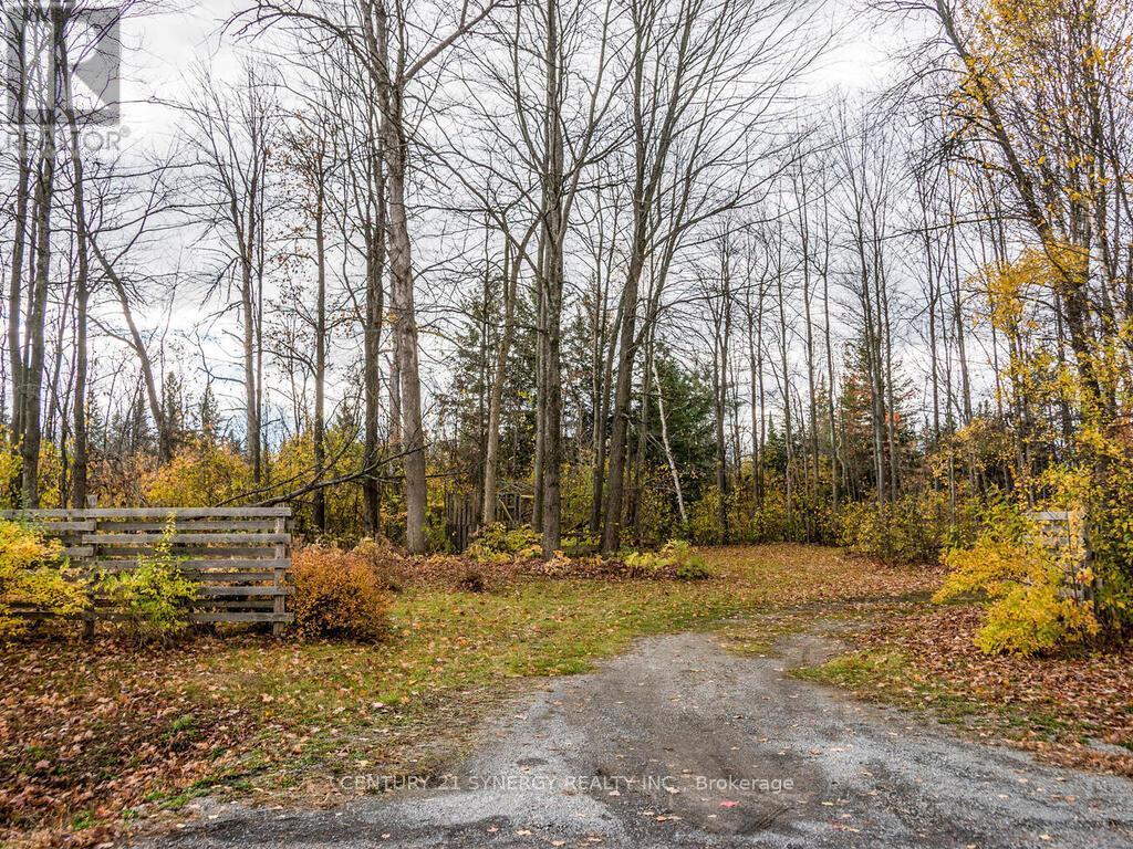 Second laneway access. - 1423 Diamondview Road, Ottawa, ON - Outdoor With View