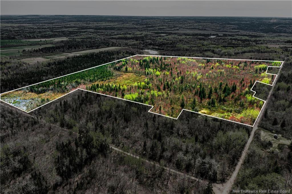 Lot Saint Damien, Saint-Damien, NB