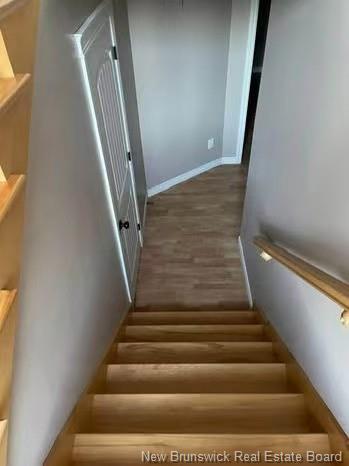 48 Tanya Cres, Moncton, NB