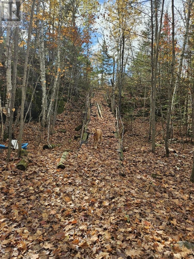 1658 Poplar Road Unit# 351, Gordon, ON