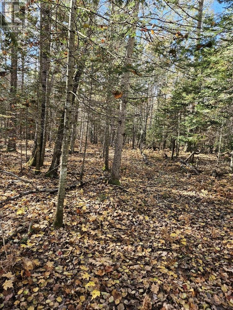 1658 Poplar Road Unit# 351, Gordon, ON