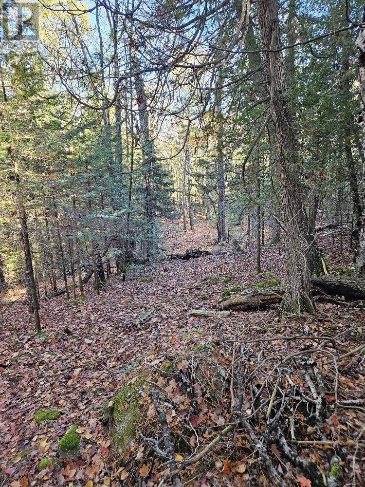 1658 Poplar Road Unit# 351, Gordon, ON