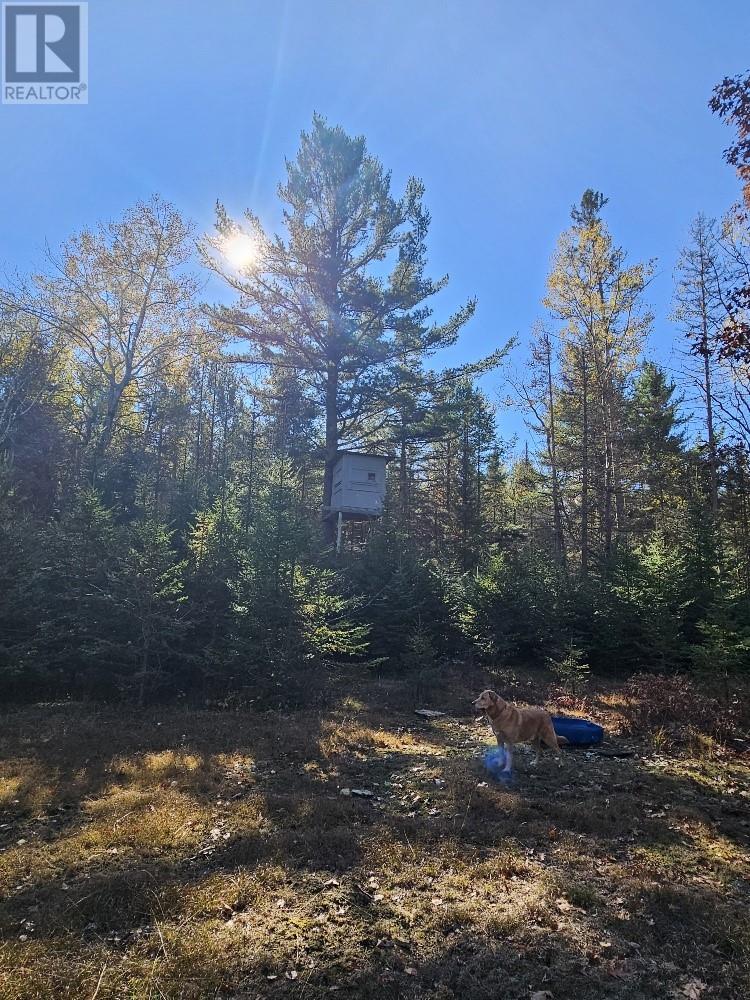 1658 Poplar Road Unit# 351, Gordon, ON