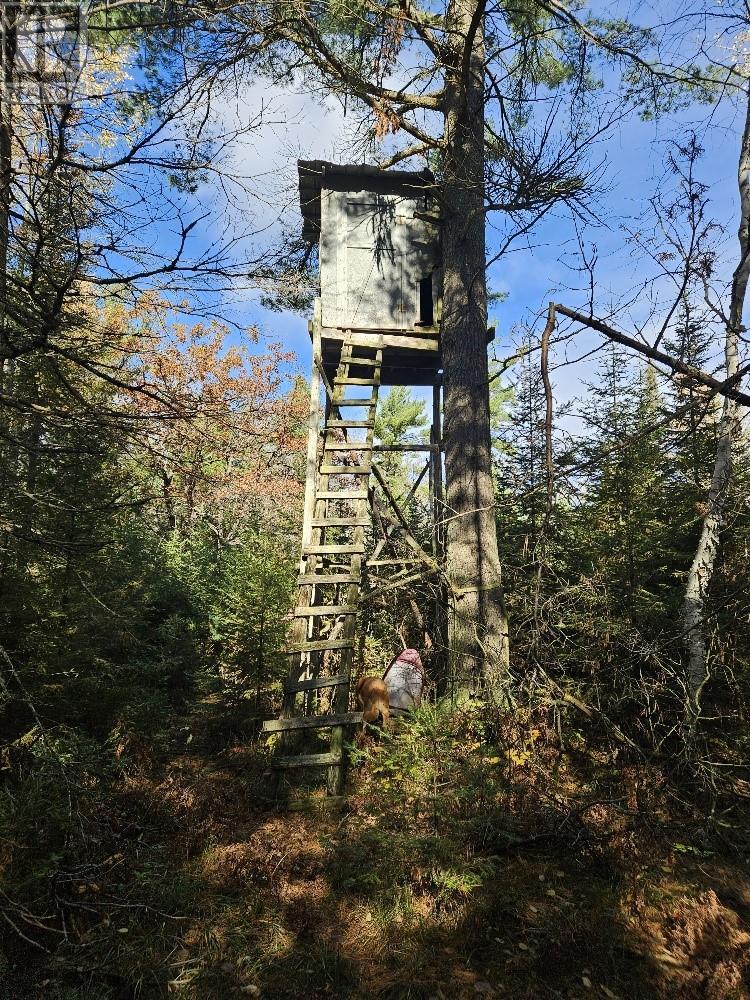 1658 Poplar Road Unit# 351, Gordon, ON