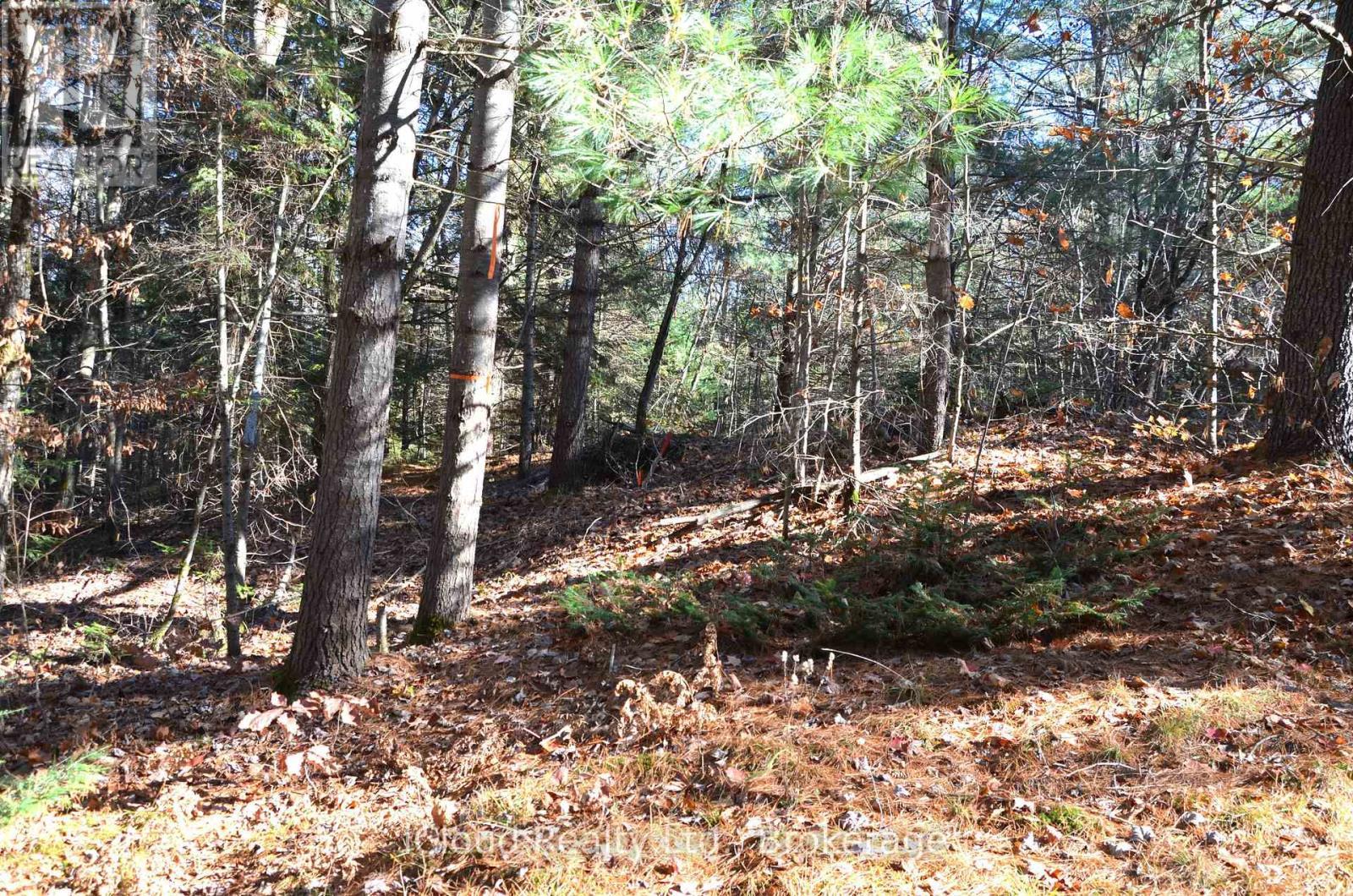 3 And 2 Parker Bay Road, Whitestone, ON