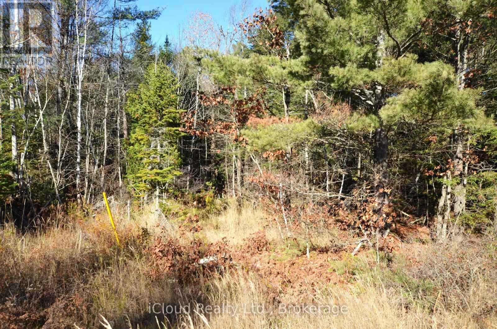 3 And 2 Parker Bay Road, Whitestone, ON