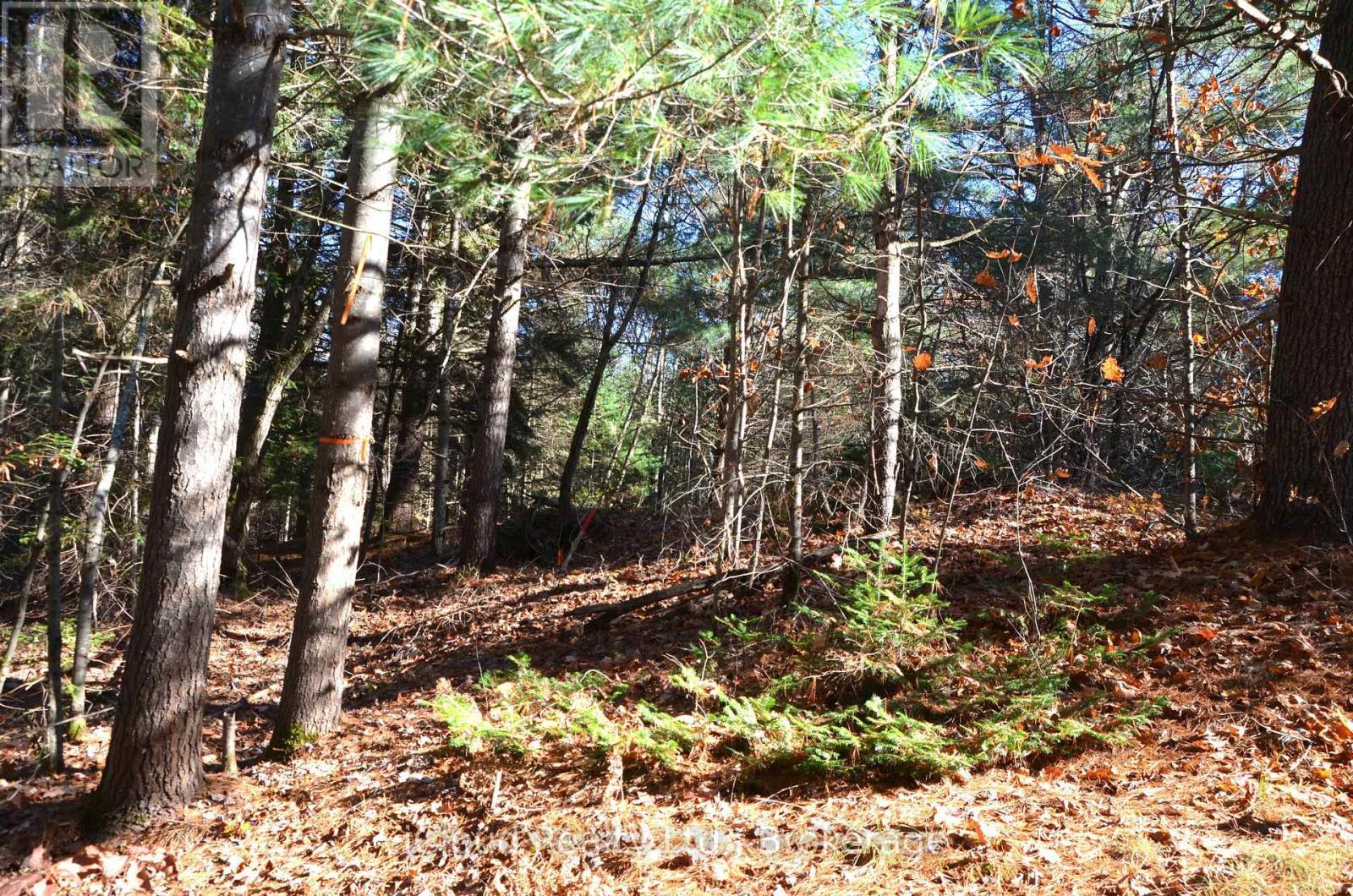 3 And 2 Parker Bay Road, Whitestone, ON