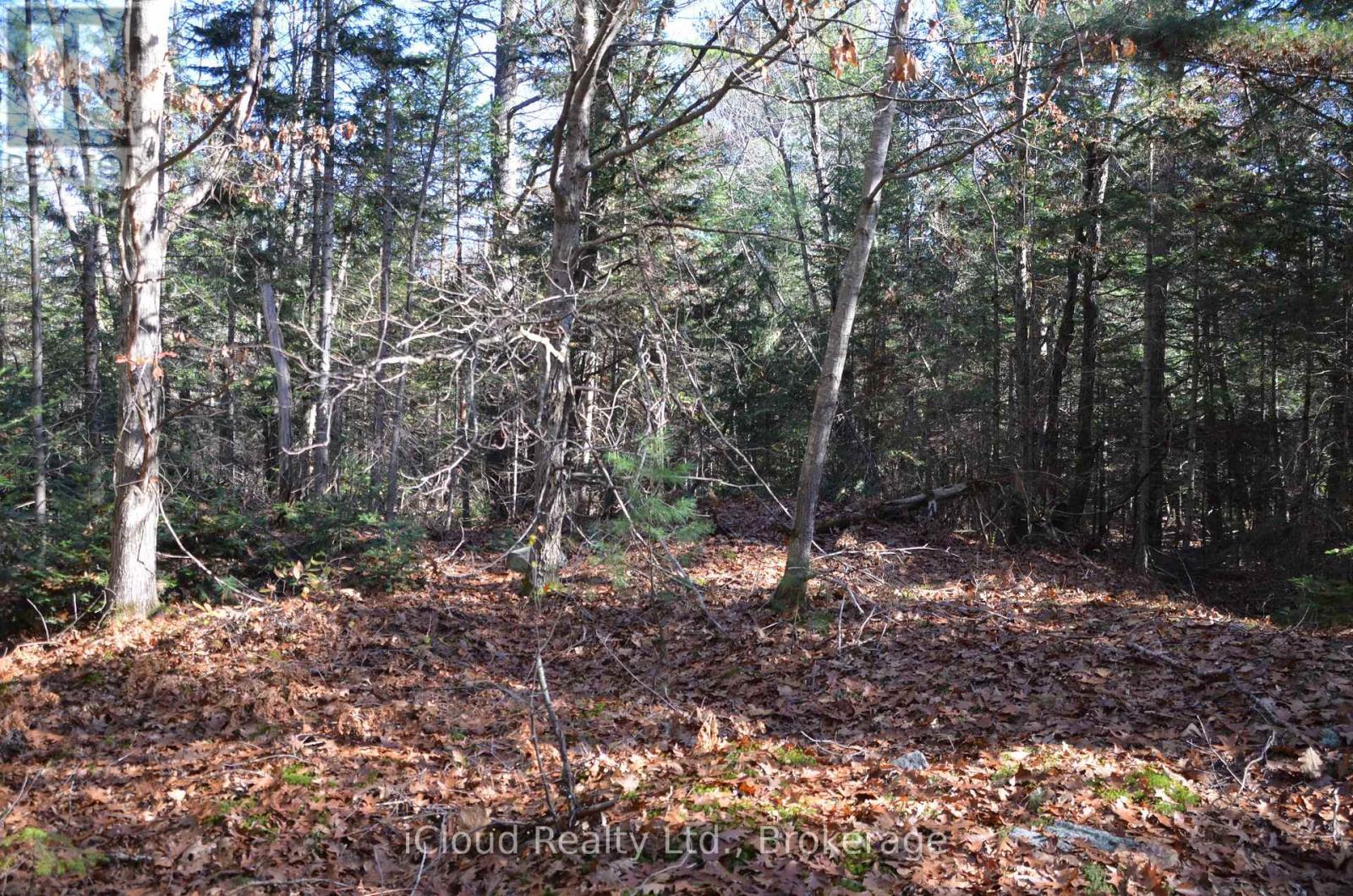 3 And 2 Parker Bay Road, Whitestone, ON