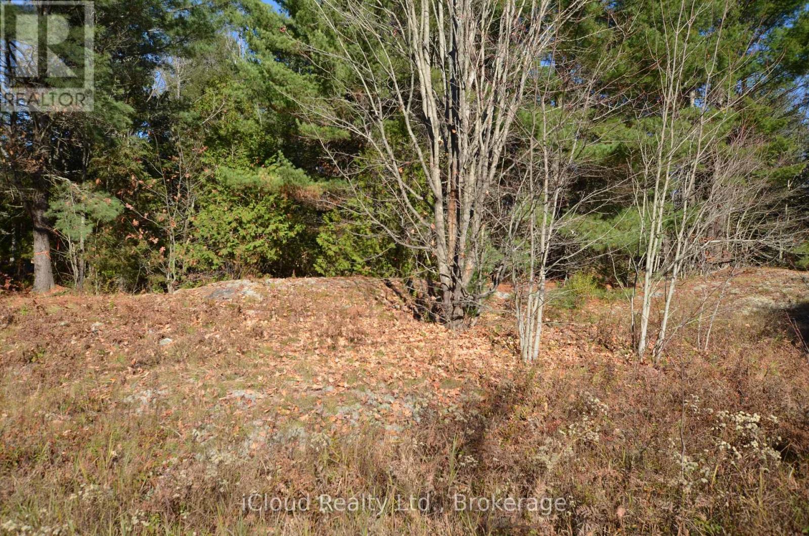 3 And 2 Parker Bay Road, Whitestone, ON