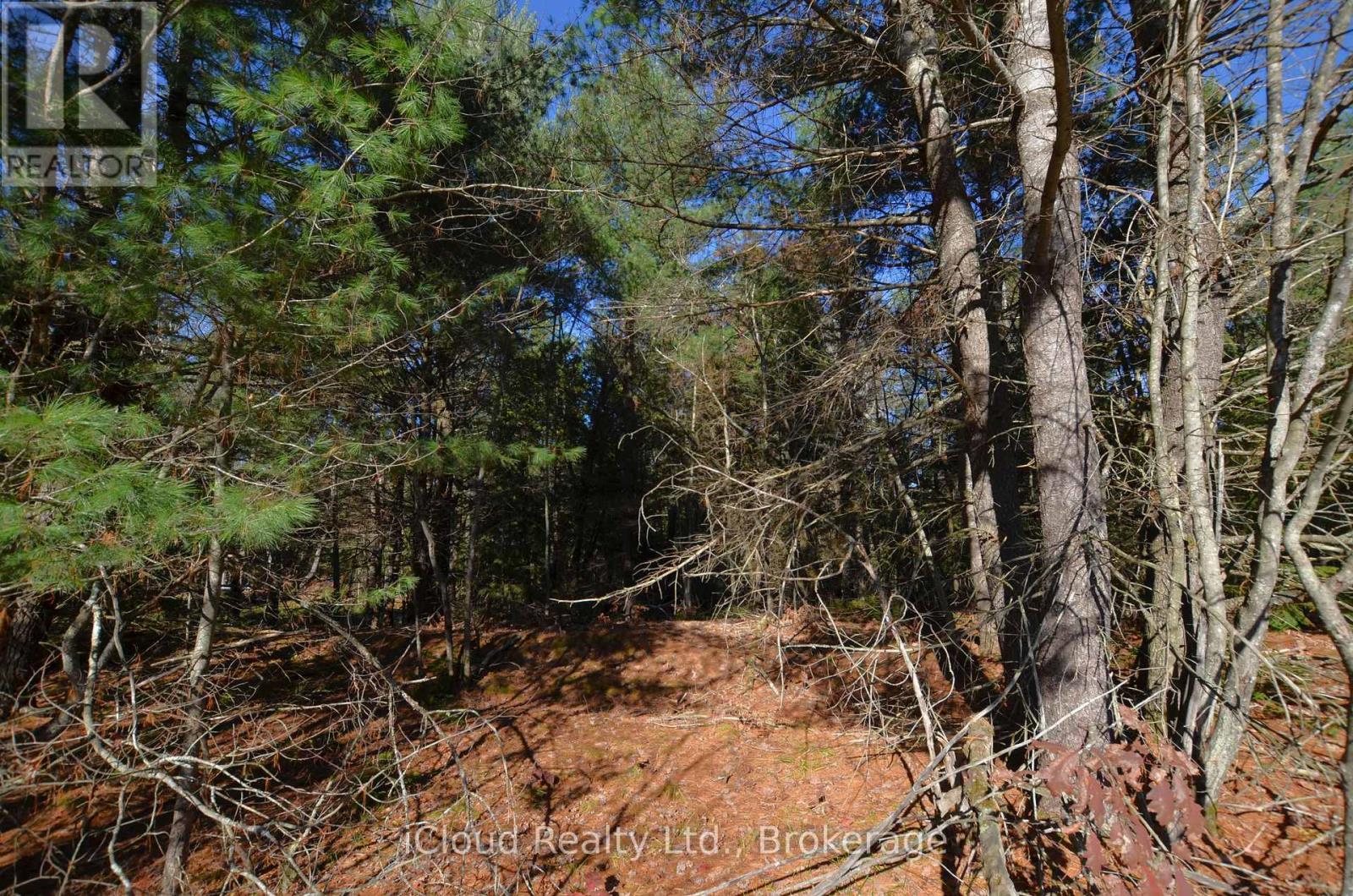 3 And 2 Parker Bay Road, Whitestone, ON