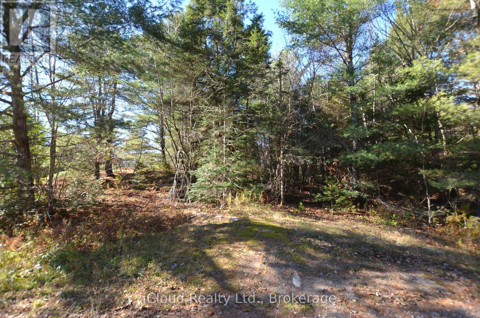 3 And 2 Parker Bay Road, Whitestone, ON