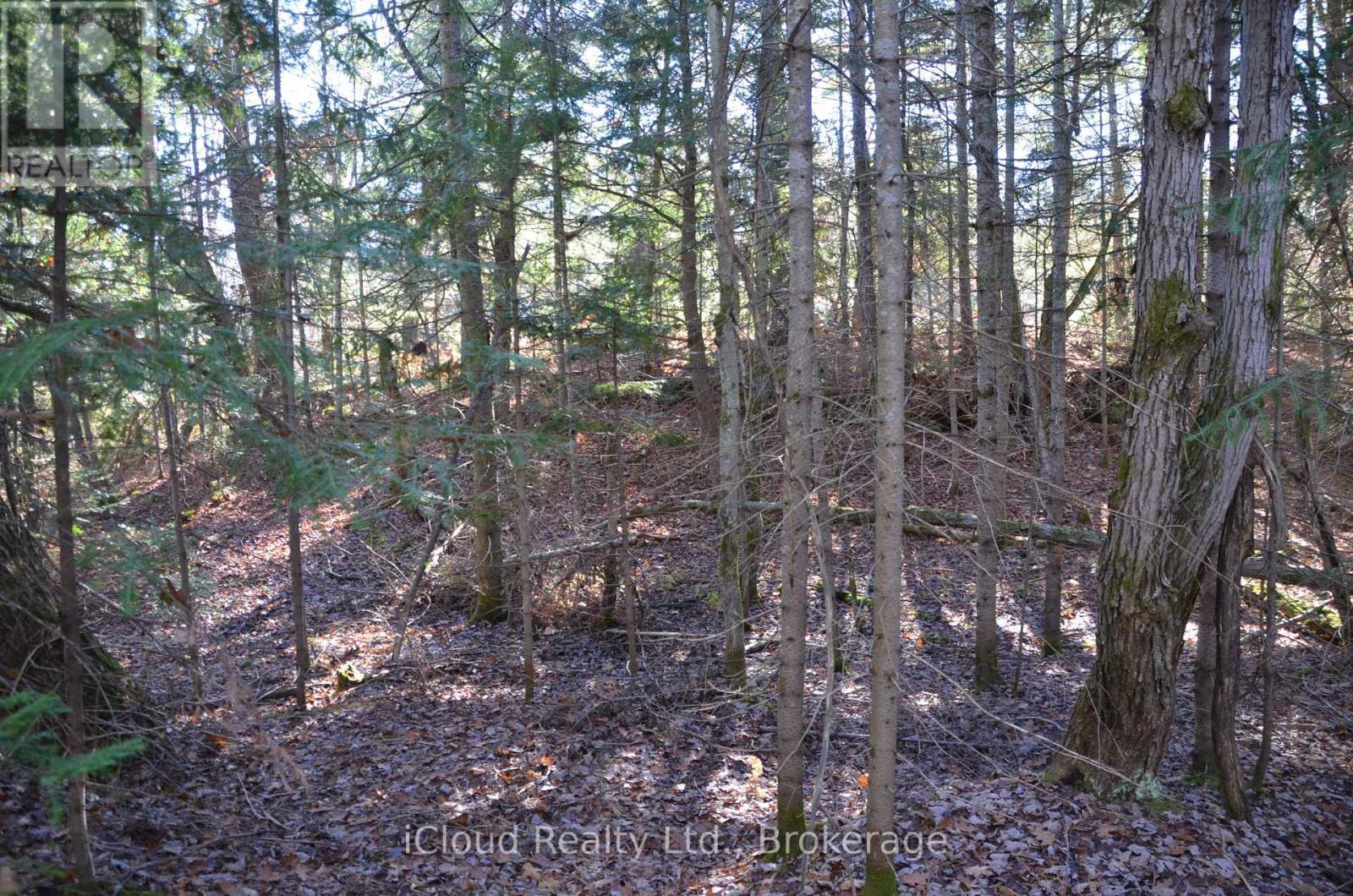 3 And 2 Parker Bay Road, Whitestone, ON