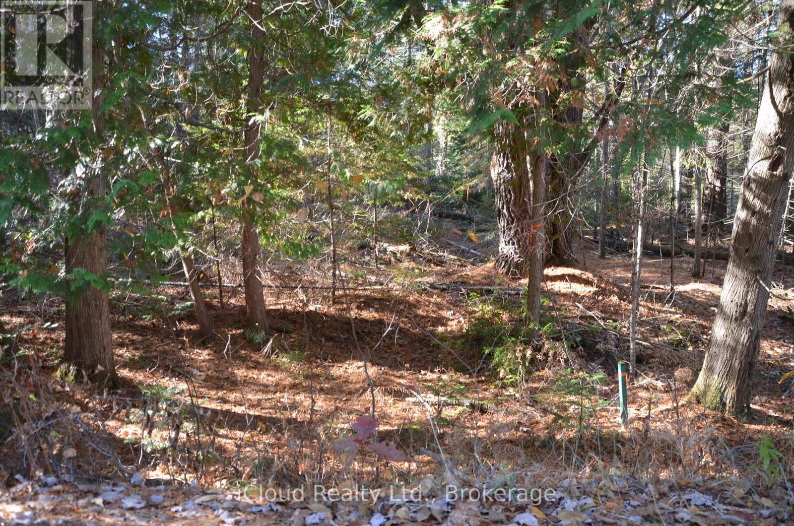 3 And 2 Parker Bay Road, Whitestone, ON