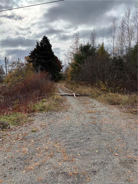 682 Boyd Rd, Elmsville, NB