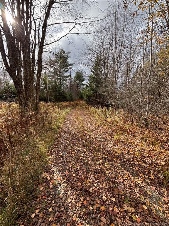 682 Boyd Rd, Elmsville, NB