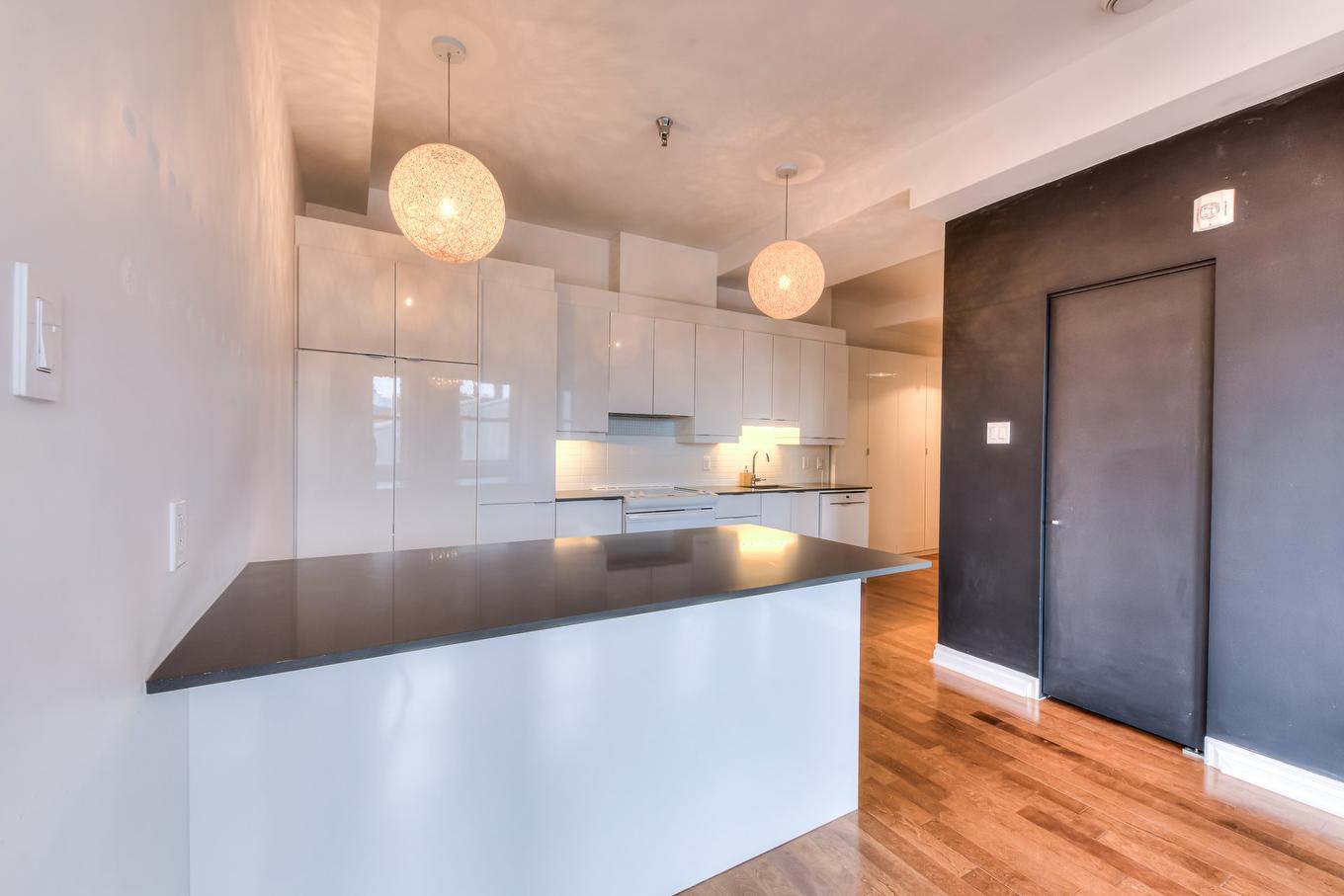 Kitchen - 309-3601 Rue St-Jacques, Montréal (Le Sud-Ouest), QC - Indoor Photo Showing Kitchen With Upgraded Kitchen