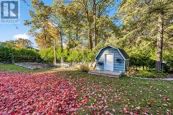 Garden Area and Shed -
