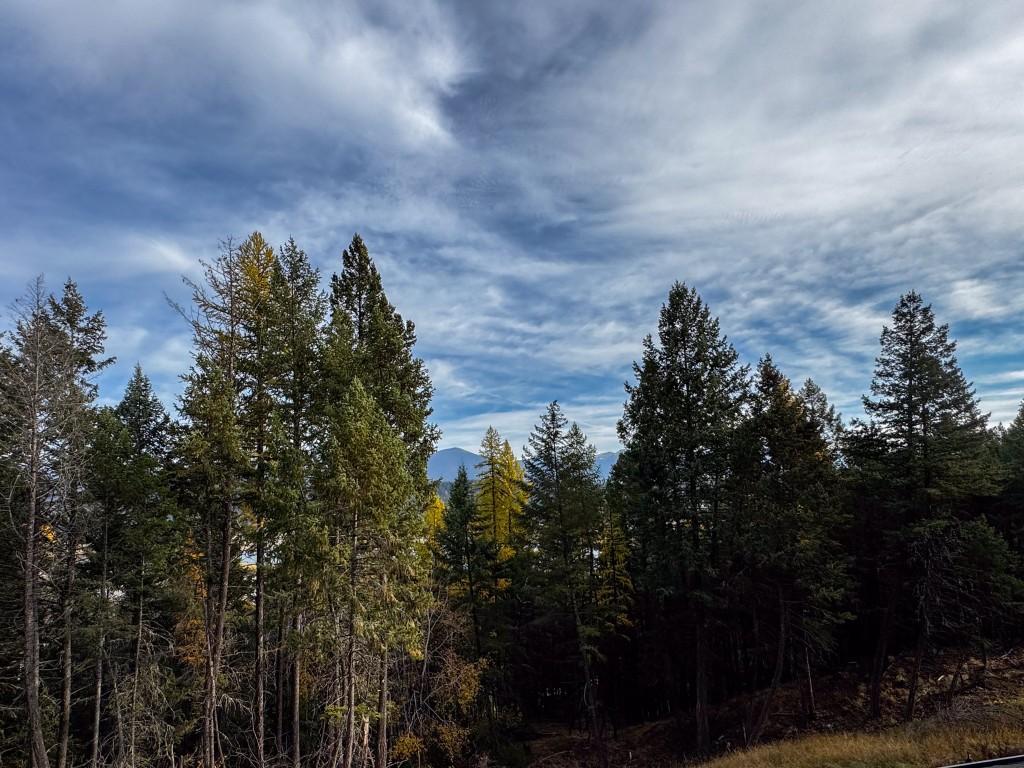 9905 Osprey Landing Drive, Wardner, BC - Outdoor With View